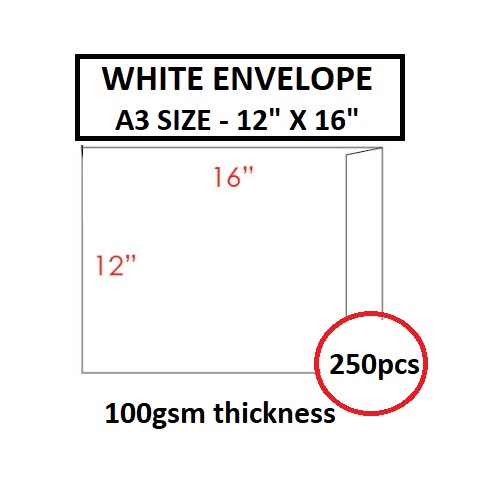 WHITE ENVELOPE 12" X 16"