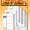 PLASTIC 31 INDEX DIVIDER WITH NUMBERING